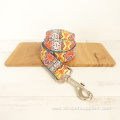 Lead Rope Dog Collars With Adjustable Metal Buckle